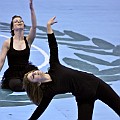 Vivace Guard 31310